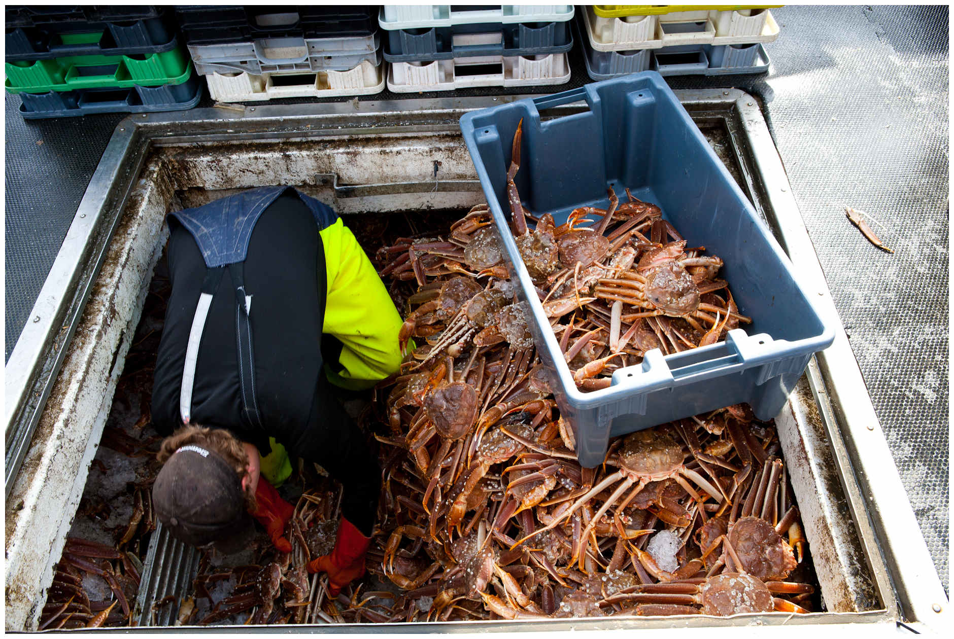 029-CrabFishery016